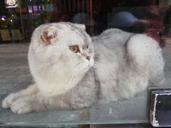 -无味饭店(九眼桥商业文化广场店)