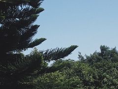 -丹樱生态园
