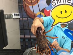 -盒马鲜生(大成店)