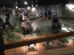 -北京周口店北京人遗址博物馆