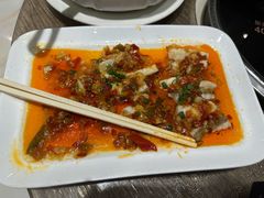-港升鱼师傅·中山脆肉鲩