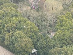 -新航道雅思托福·留学·考研培训(人民广场校区)