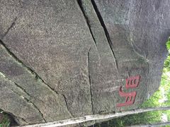 大明山-大明山自然探索公园
