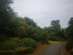 -桃花岛景观公园