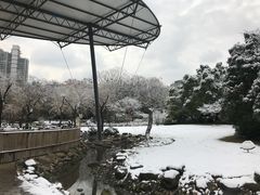 -苏州河梦清园环保主题公园