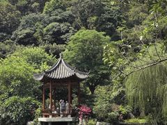 -云溪植物园