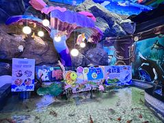 -烟台海昌鲸鲨海洋公园