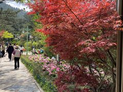-庐山风景区花径公园
