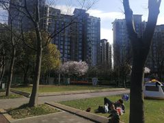 -新江湾城公园