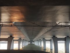 -艾溪湖湿地公园