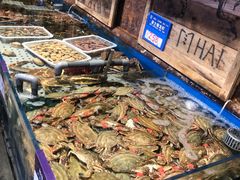 -开海·红岛海鲜虾水饺(石老人店)