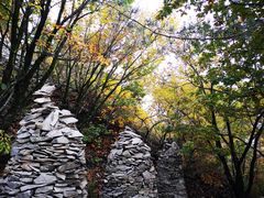 -帽儿山国家森林公园