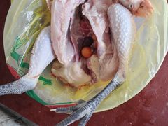 -马陆小张葡萄园农家乐