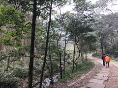 -黄公望隐居地