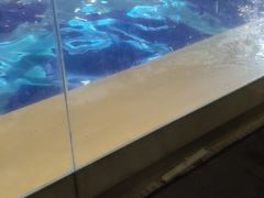 -海乐健康美食·SPA水疗会(水都假日酒店)