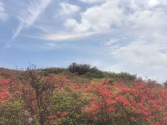 -大围山国家森林公园