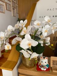 -宥莉·ULLY 痘敏肌•科技皮肤管理中心