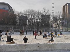 -沈阳奥体冰雪嘉年华