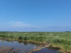 -野鸭湖国家湿地公园
