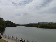 -佛手湖郊野公园