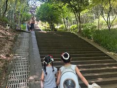 -峙山公园
