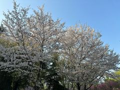 -白塘生态植物园
