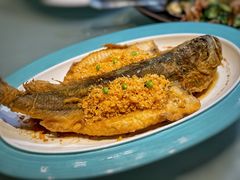 -大鸽饭(体育西路店)