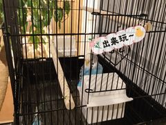 -瓦舍茶馆(聚源路店)
