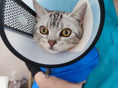 -荔康动物医院(康王北路店)