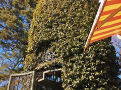 -三鹰之森吉卜力美术馆