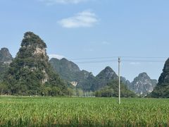-明仕田园