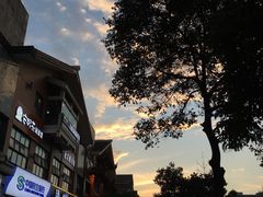 -唯成•韩国炭火烤肉 유성고기