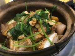 砂锅鱼腩煲-焯明脆肉鲩世家(金沙洲店)