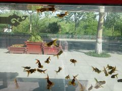 -辛玛王国游乐园