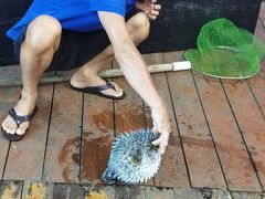 -蓝湾碧波·老字号·疍家非遗海上餐厅
