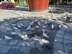 -南宫五洲植物乐园