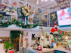 -Kitchen·Y洋厨房西餐厅(王府壹号店)