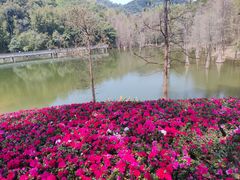 -广州市白云山风景名胜区