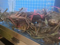 -徐记小怪兽肉蟹煲店(哈西万达金街店)