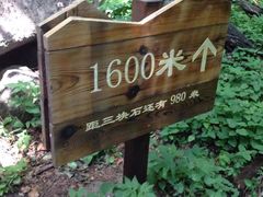 -三块石国家森林公园