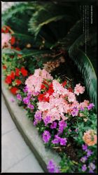 -中谷小南国花园酒店·宴会厅