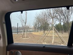 -龙膜全球臻选店·汽车贴膜·隐形车衣(北京琪朗店)