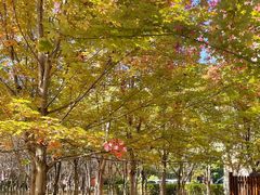 -辽宁大学(崇山校区)