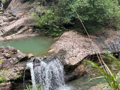 -广州白江湖森林公园