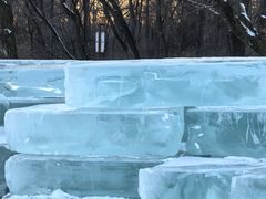 -长春市南湖公园