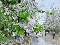 -元大都城垣遗址公园