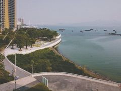 -润园四季椰子鸡火锅(海上世界店)
