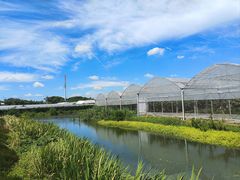 -马陆小张葡萄园农家乐