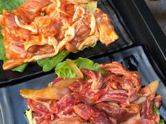 -燚青春东北泥炉烤肉(百合店)