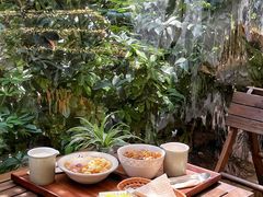 -绿小院(荔湾店)